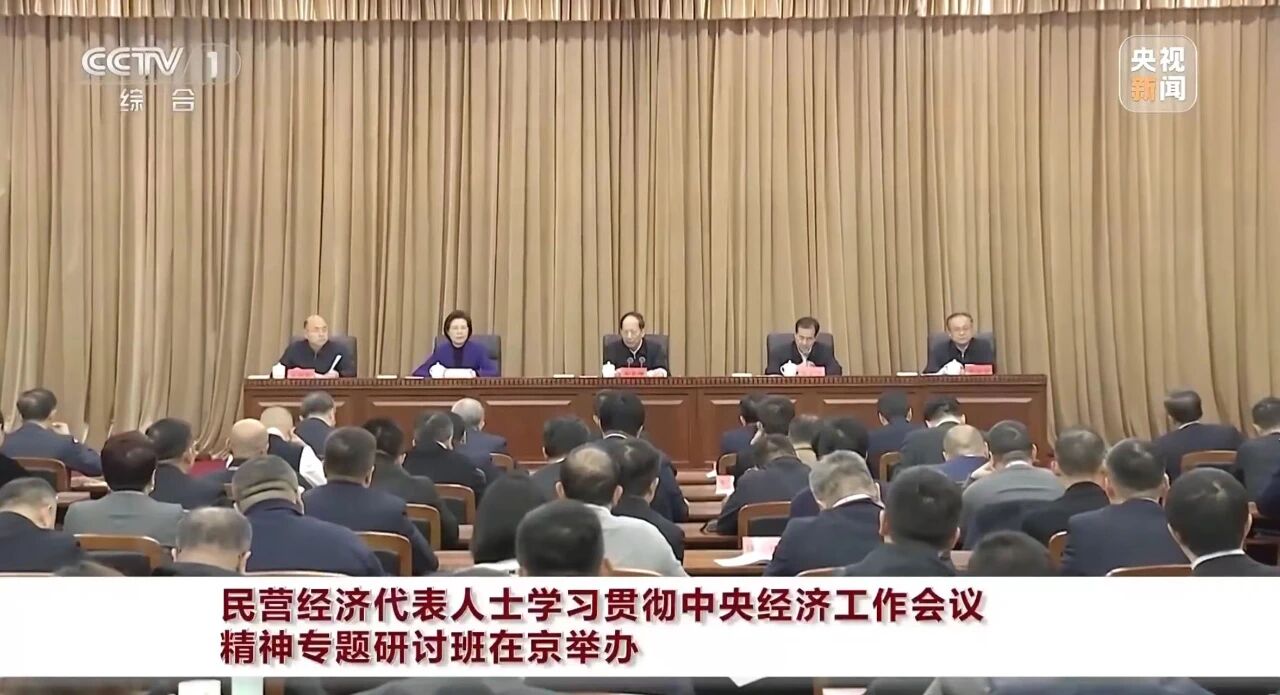 程力集團(tuán)參加民營(yíng)經(jīng)濟(jì)代表人士學(xué)習(xí)貫徹中央經(jīng)濟(jì)工作會(huì)議